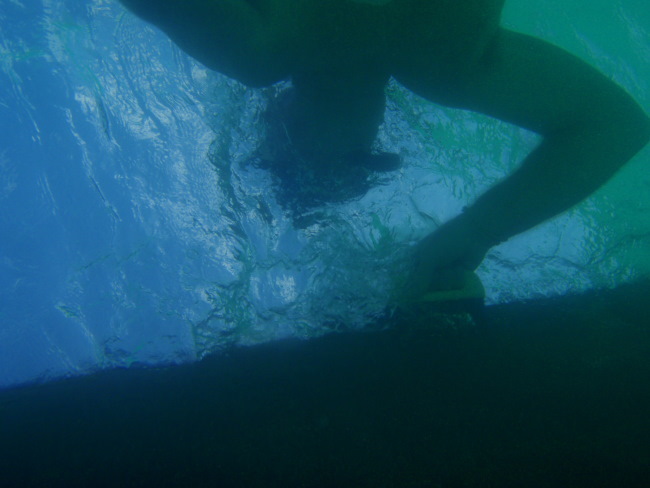 Thumbnail Photo